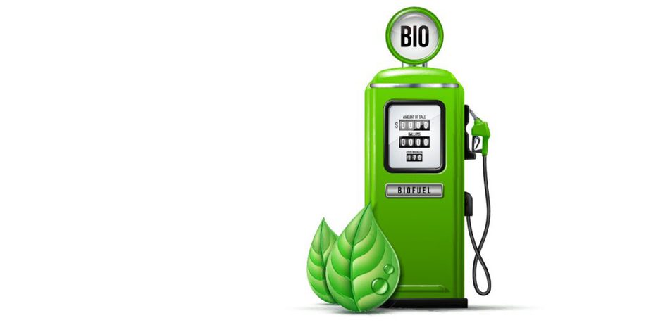 Biofuels and Alternative Fuel Sources online live training by Fleming_Header